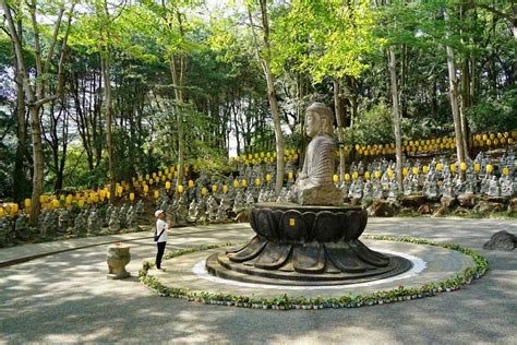 禪機山 仙佛寺|仙佛寺簡介